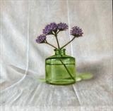 Verbena in a Green Bottle by Linda Brill, Painting, Oil on Board